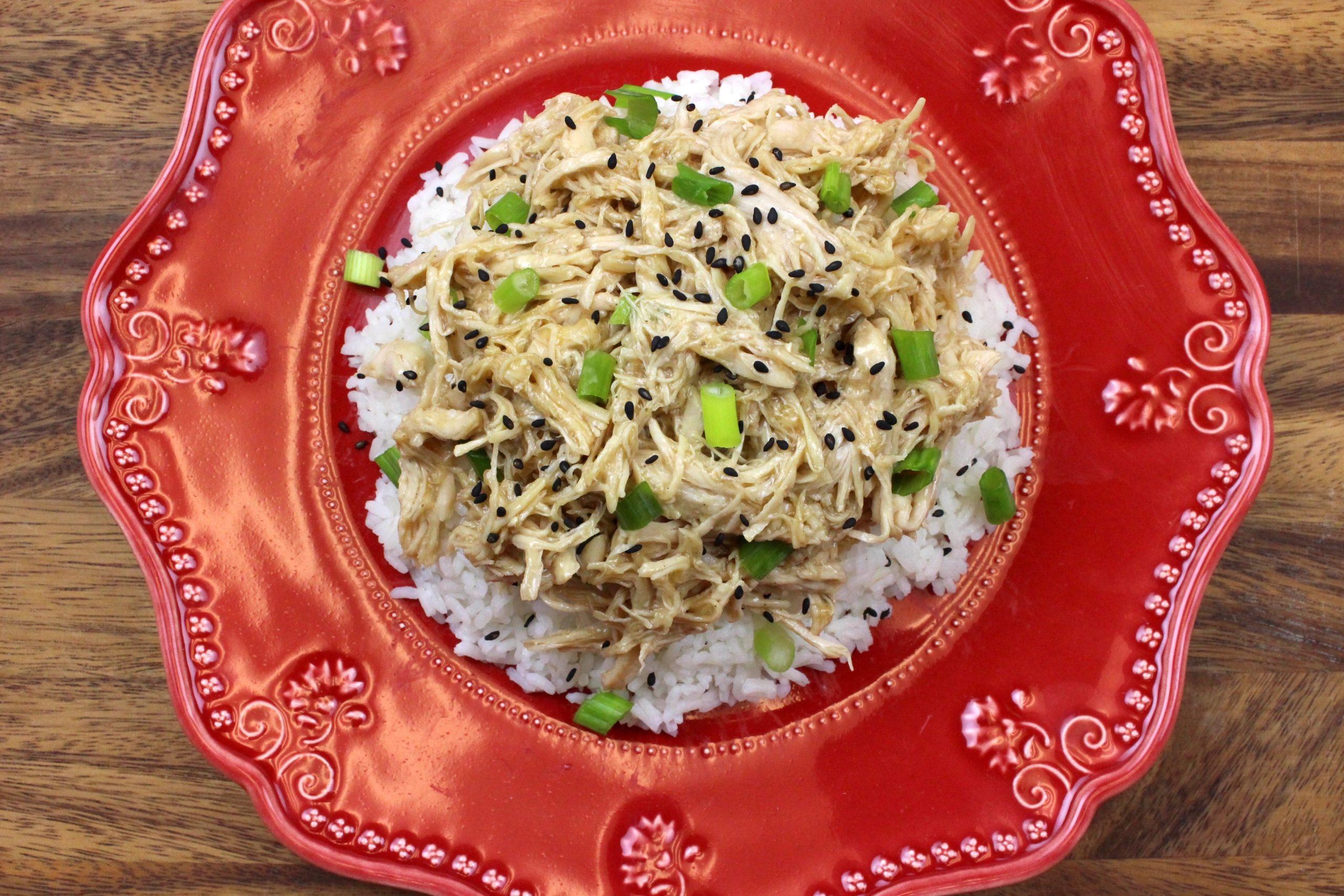 Marukan Instant Pot Honey Teriyaki Chicken