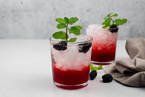 Marukan Fruit and Vinegar Shrub Mocktail