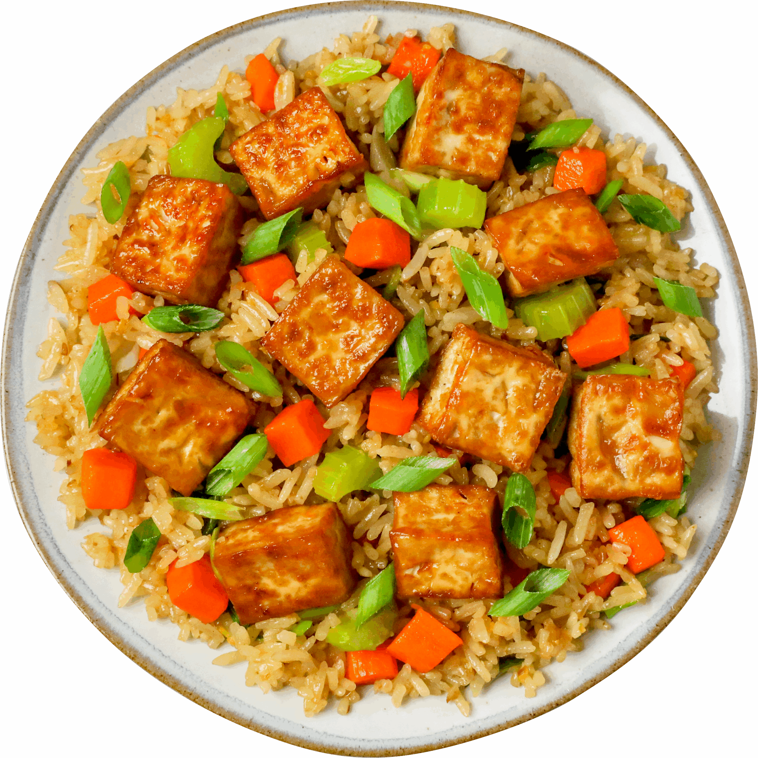 Tofu Fried Rice